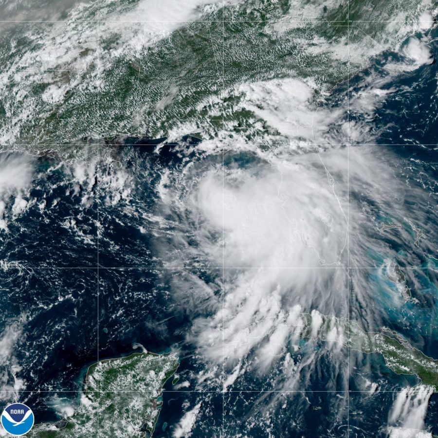 Storm+Sally+can+be+seen+from+a+satellite+in+outer+space.