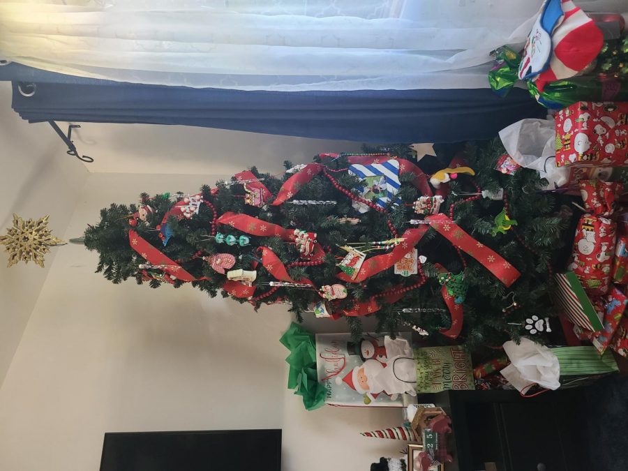 Each year, a large Christmas tree with personalized ornaments representing each family member throughout the years can be found as the holiday centerpiece.