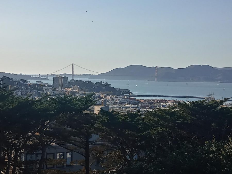 San Franciscos afternoon vibe