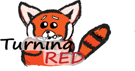 The adorable red panda is the star of the new movie Turning Red now available on Disney+!