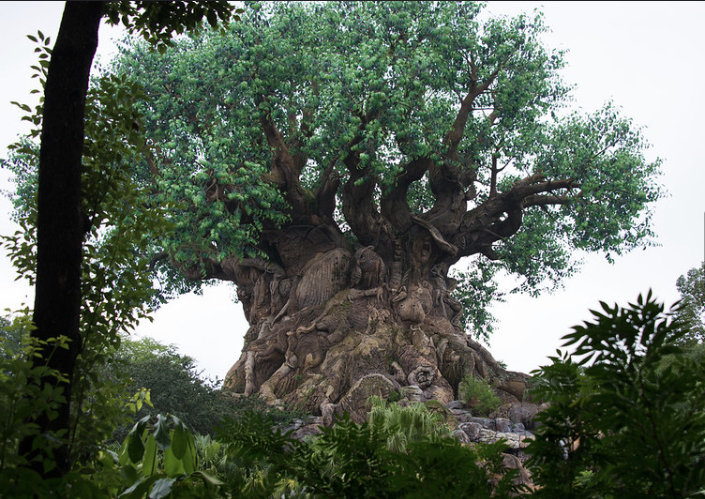 Magic kingdom tree