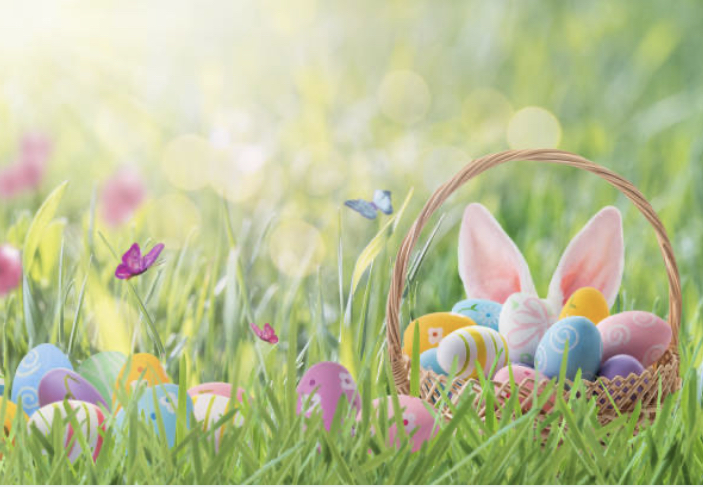 Happy Easter greeting card. Easter eggs painted in pastel colors in basket and Easter bunny ears behind a basket on a green meadow on sunny day. Easter egg hunt concept.
