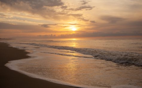 Isle of Palms, SC, USA