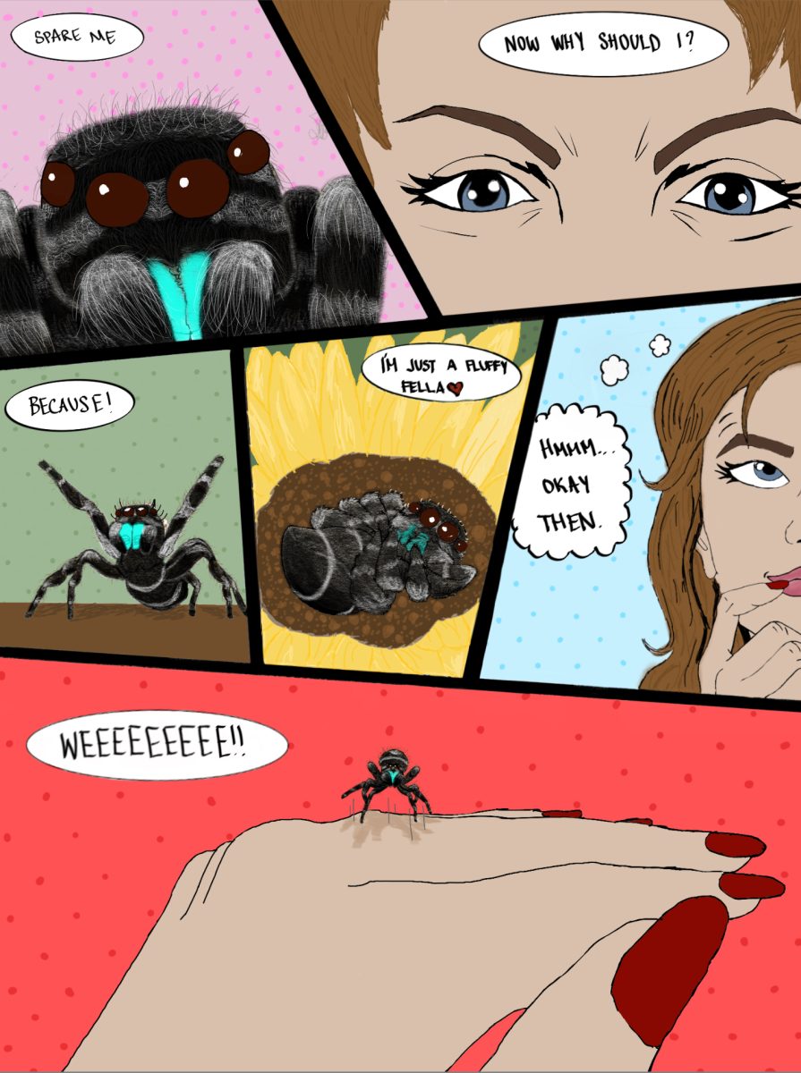 A woman befriends an innocent spider.