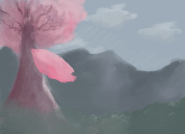 Cherry blossom tree