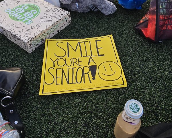 "Smile, You're a Senior" Sign