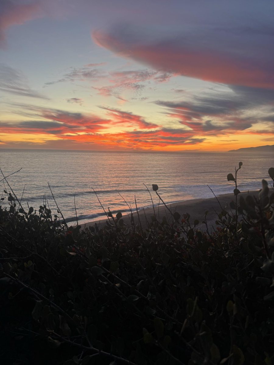 Point Dume in Malibu