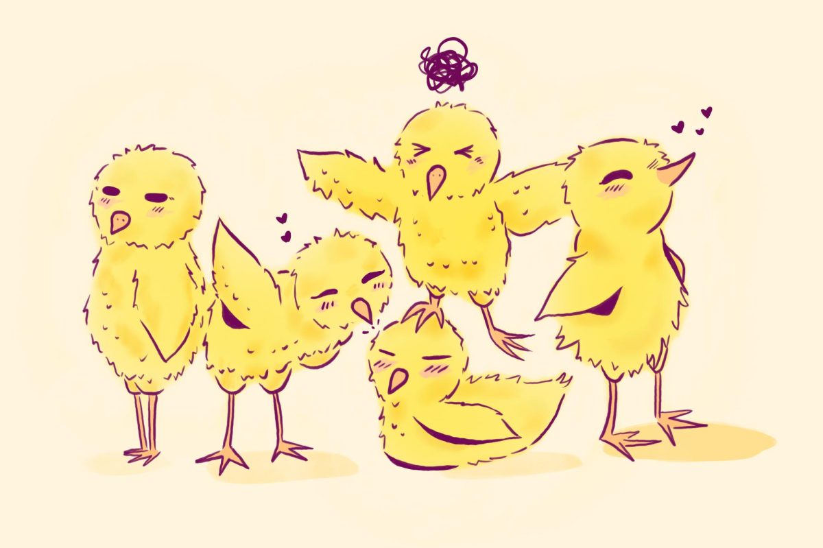 Illustration of chicks.