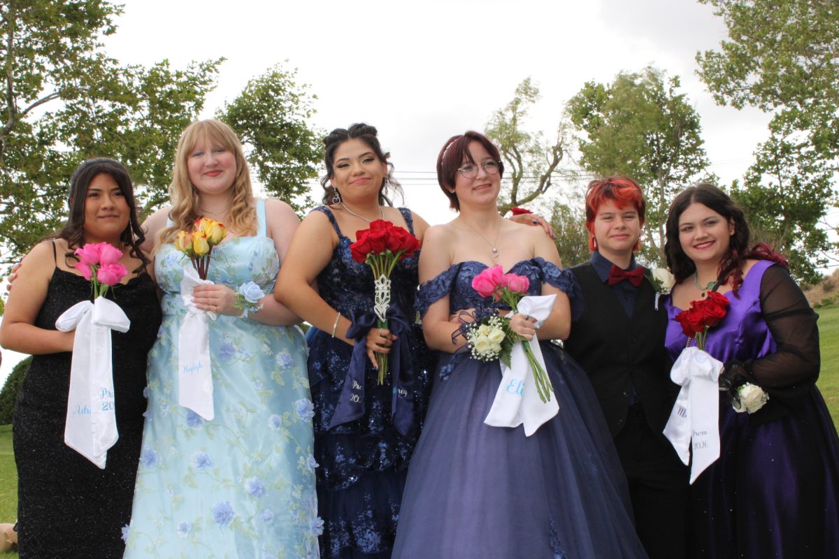 [Left to Right] Adriana Garcia, Kayleigh Behar, Vianney Segovia, Elise Haupt, Asher Parks, and Malia Tyra before prom